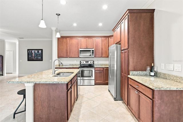 555 DOWLING CIRCLE, Lady Lake, FL 32159