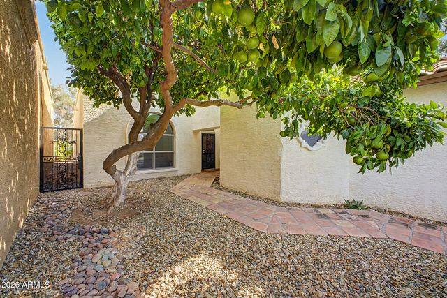 10593 E FANFOL Lane, Scottsdale, AZ 85258
