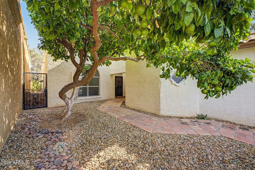 10593 E FANFOL Lane, Scottsdale, AZ 85258 — photo 4