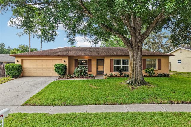 3718 SAND PEBBLE DRIVE, Valrico, FL 33596