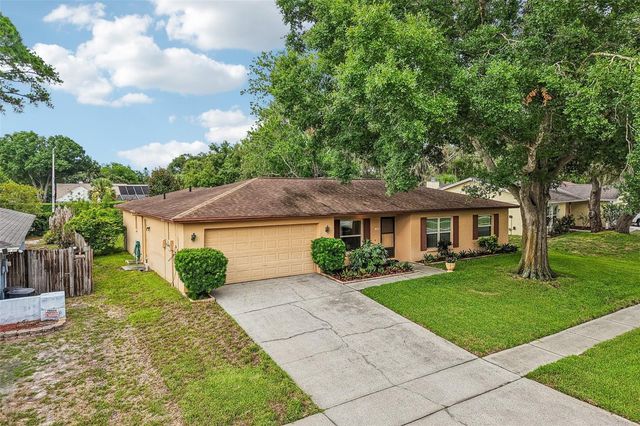 3718 SAND PEBBLE DRIVE, Valrico, FL 33596