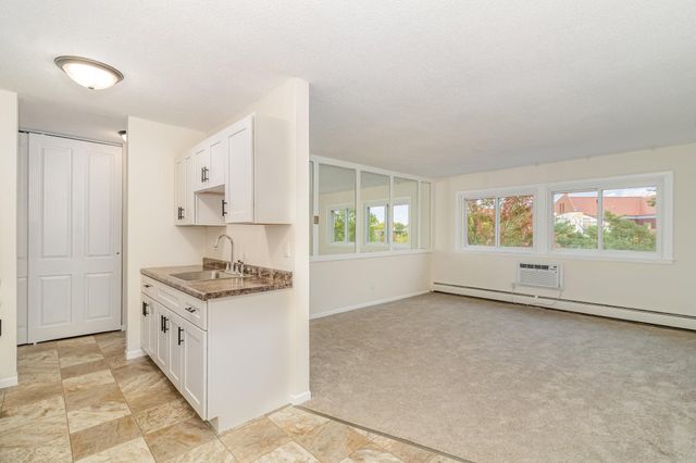 2616 Harriet Avenue 303, Minneapolis, MN 55408