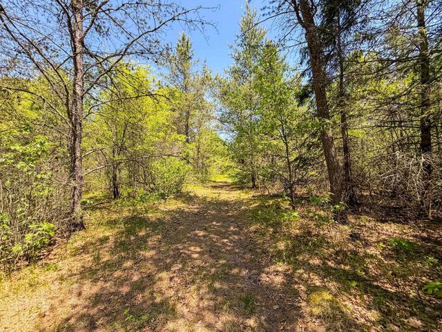 W5981 9th Street, Necedah, WI 54646