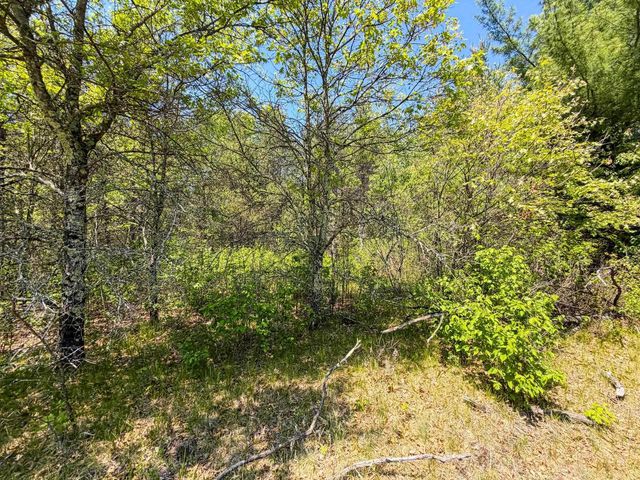 W5981 9th Street, Necedah, WI 54646