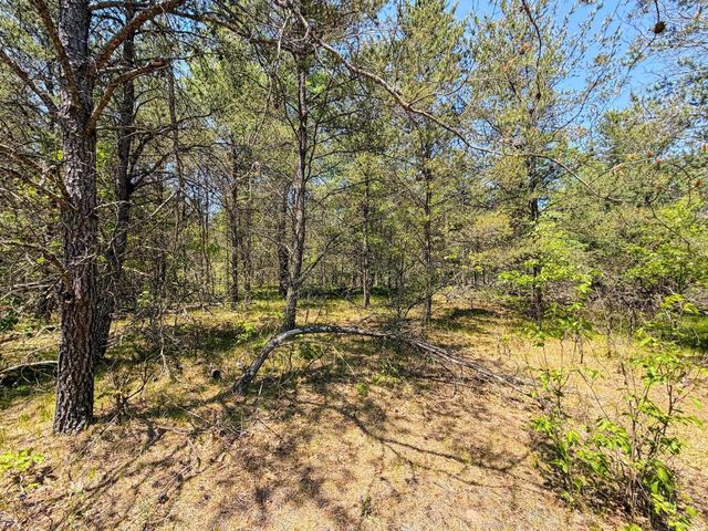 W5981 9th Street, Necedah, WI 54646