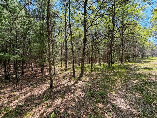 W5981 9th Street, Necedah, WI 54646