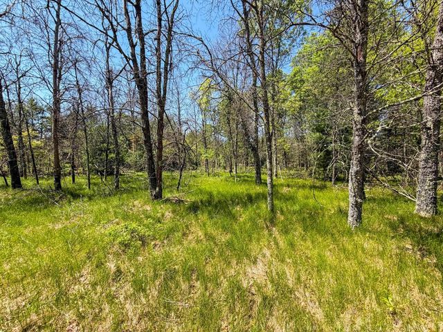 W5981 9th Street, Necedah, WI 54646