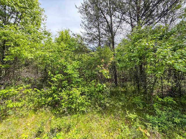 W5981 9th Street, Necedah, WI 54646