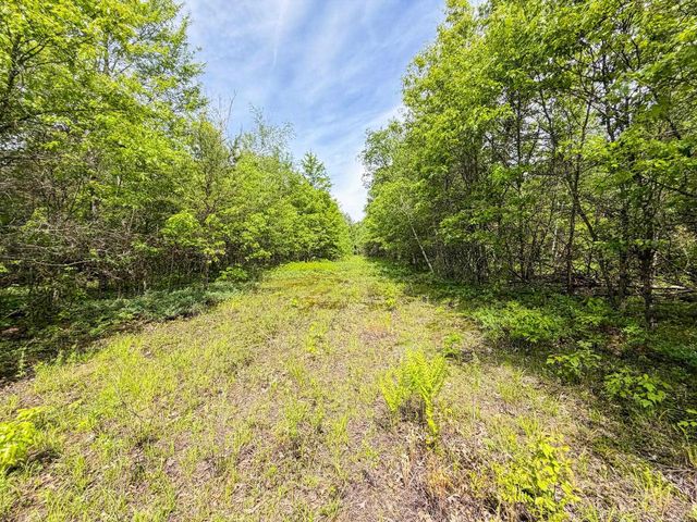 W5981 9th Street, Necedah, WI 54646