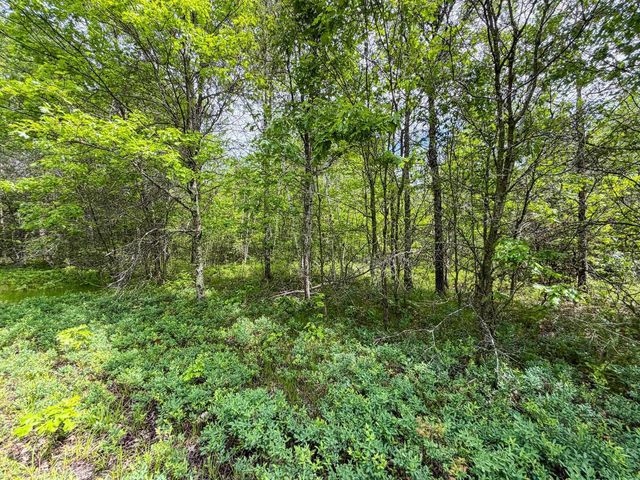 W5981 9th Street, Necedah, WI 54646