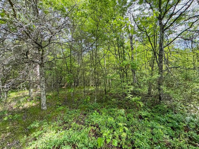 W5981 9th Street, Necedah, WI 54646