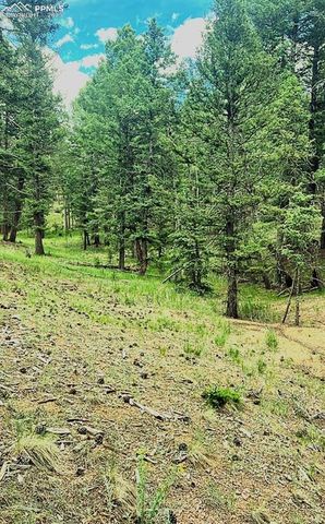 179 Kenosha Way, Florissant, CO 80816