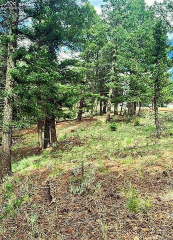 179 Kenosha Way, Florissant, CO 80816