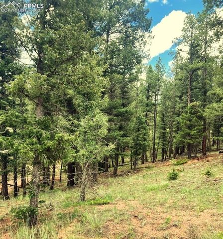 179 Kenosha Way, Florissant, CO 80816