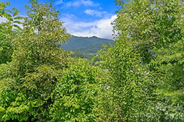 10 Benedict Lane, Weaverville, NC 28787