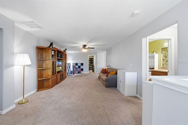 14604 RANNOCH MOOR PLACE, Wimauma, FL 33598