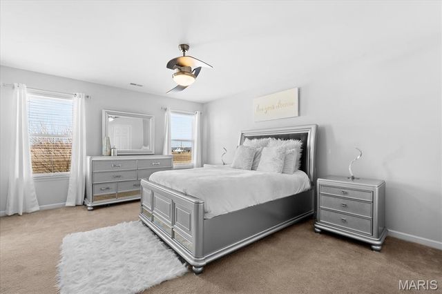 824 Harbor Woods Drive, Fairview Heights, IL 62208