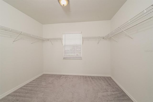 8870 PEBBLEBROOKE DRIVE, Lakeland, FL 33810