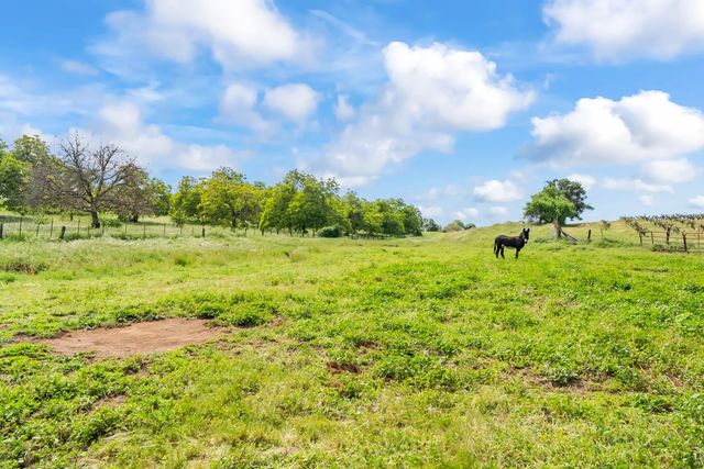 20865 Shenandoah School Rd, Plymouth, CA 95669