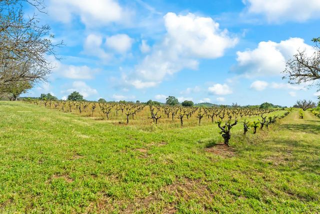20865 Shenandoah School Rd, Plymouth, CA 95669