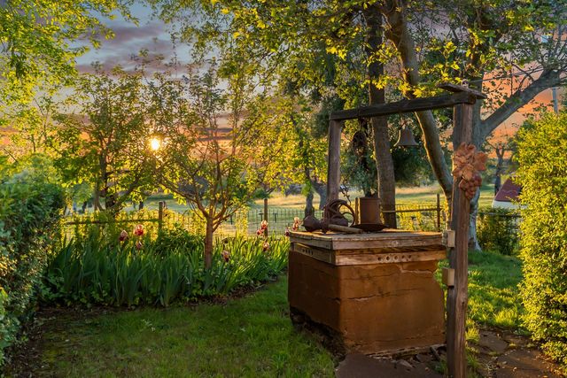 20865 Shenandoah School Rd, Plymouth, CA 95669
