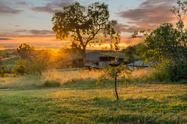 20865 Shenandoah School Rd, Plymouth, CA 95669
