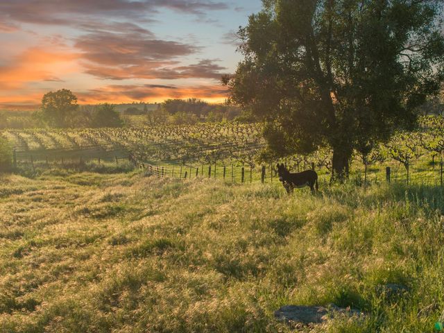 20865 Shenandoah School Rd, Plymouth, CA 95669