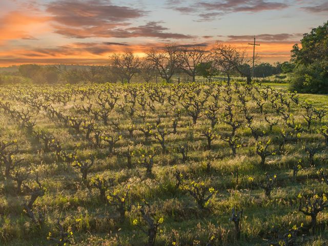 20865 Shenandoah School Rd, Plymouth, CA 95669