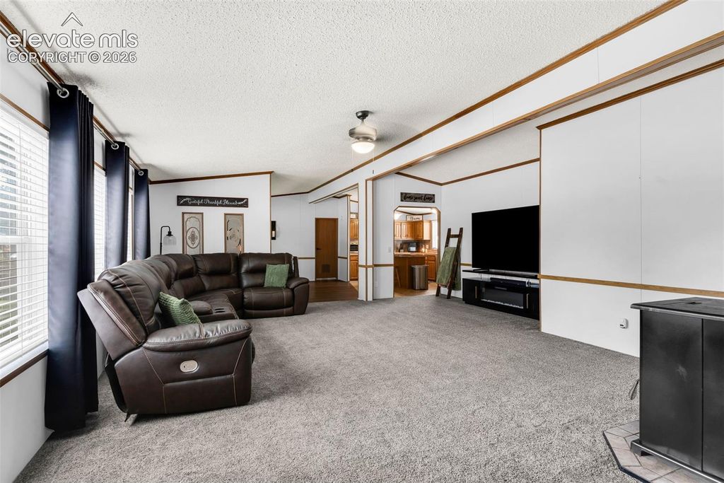 911 Phelps Avenue, Canon City, CO 81212 — photo 4