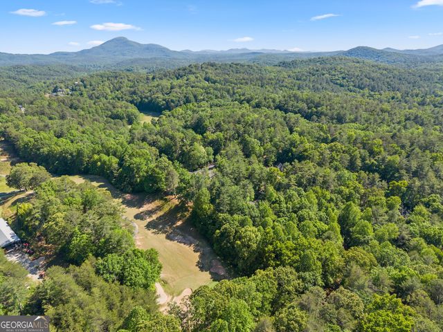 1688 Bahn Innsbruck, Helen, GA 30545