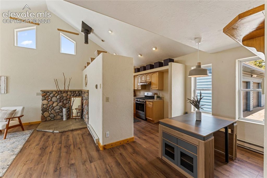 3543 Blue Mesa Drive, Divide, CO 80814 — photo 3