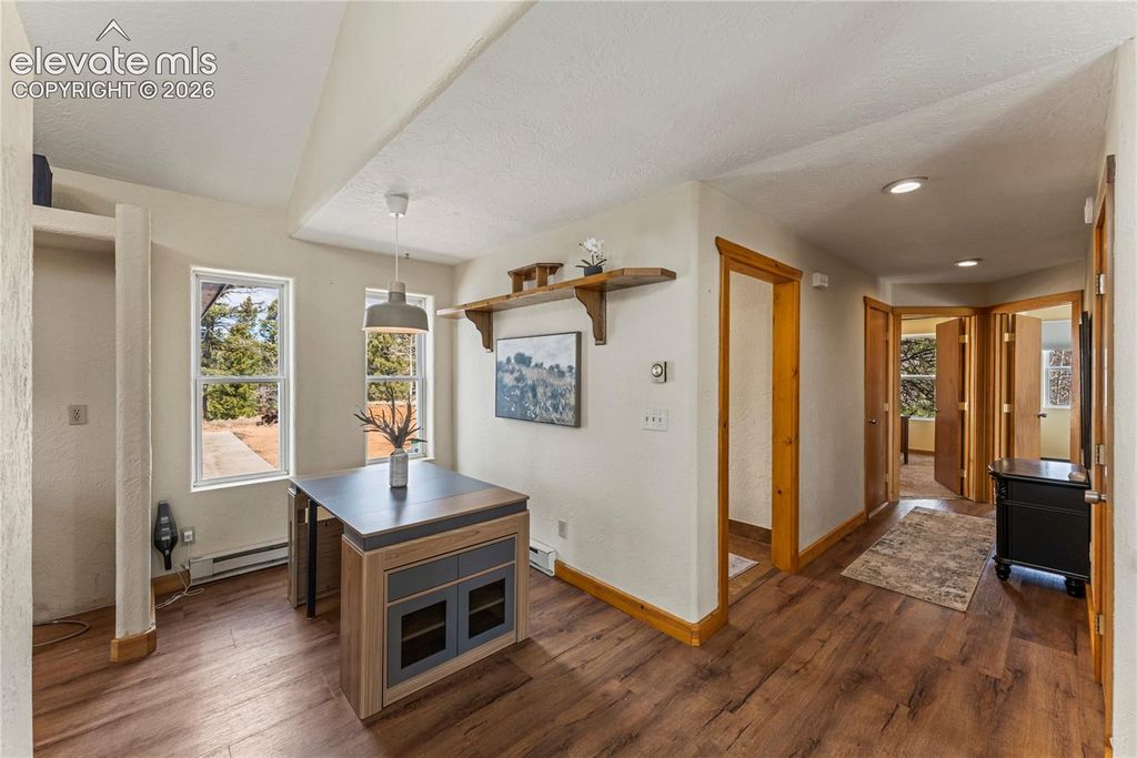 3543 Blue Mesa Drive, Divide, CO 80814 — photo 4