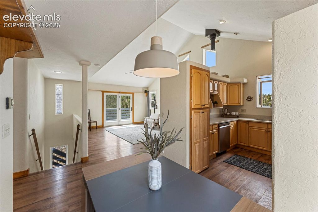 3543 Blue Mesa Drive, Divide, CO 80814 — photo 5