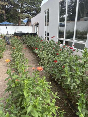 7433 El Morro Road NE, Albuquerque, NM 87109