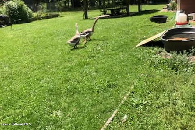 870 Samuels RD, Sandpoint, ID 83864