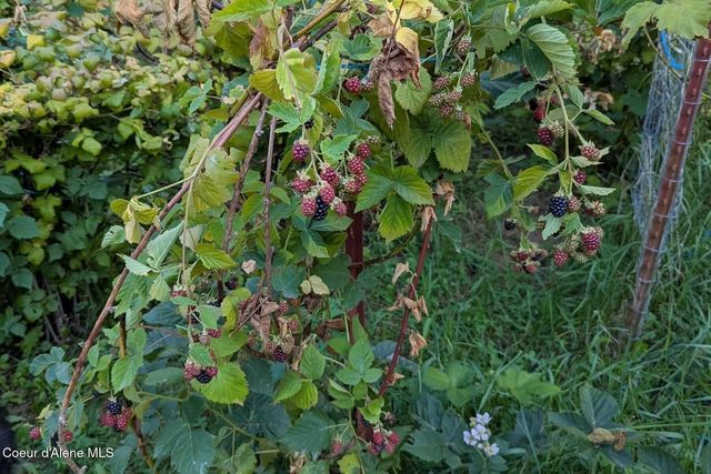 870 Samuels RD, Sandpoint, ID 83864