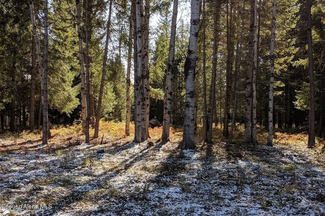 870 Samuels RD, Sandpoint, ID 83864