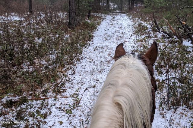 870 Samuels RD, Sandpoint, ID 83864