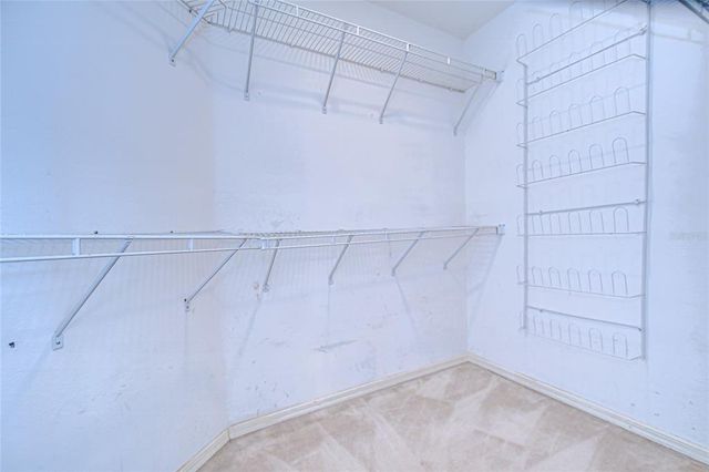 4910 RAMBLING ROSE PLACE, Tampa, FL 33624