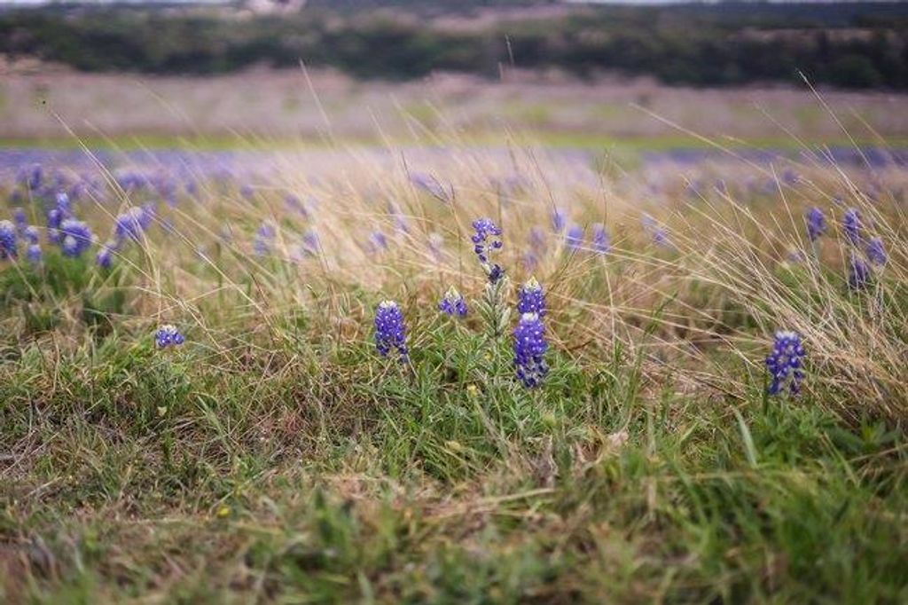 00 Wesley Ridge DR, Spicewood, TX 78669
