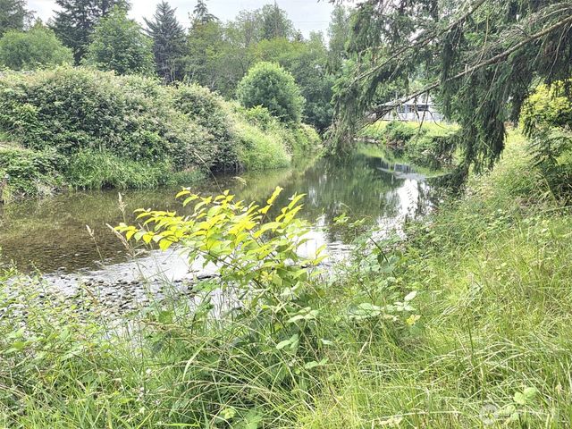 18704 Dynamite Drive SE, Yelm, WA 98597