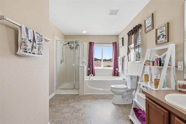 5213 PRAIRIE VIEW WAY, Wesley Chapel, FL 33545
