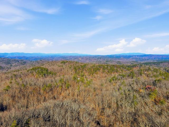 1176 NE Jewel Court, Ranger, GA 30734