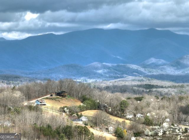 756 Mining Gap Conn, Young Harris, GA 30582