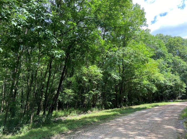 TBD Royal Estates Dr, Conroe, TX 77303