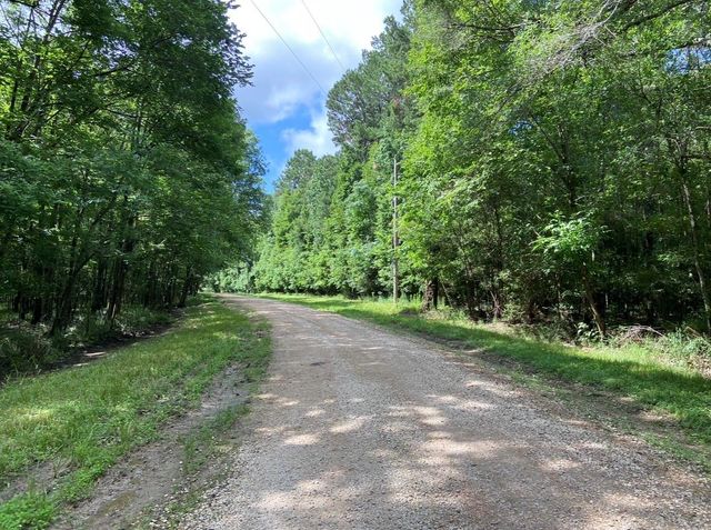 TBD Royal Estates Dr, Conroe, TX 77303