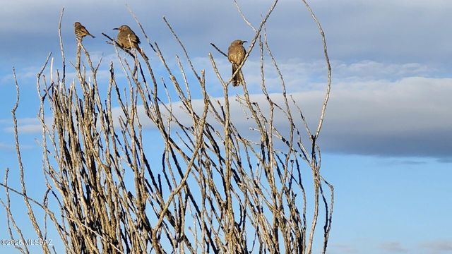 1032 E Cave Canyon Place, Green Valley, AZ 85614