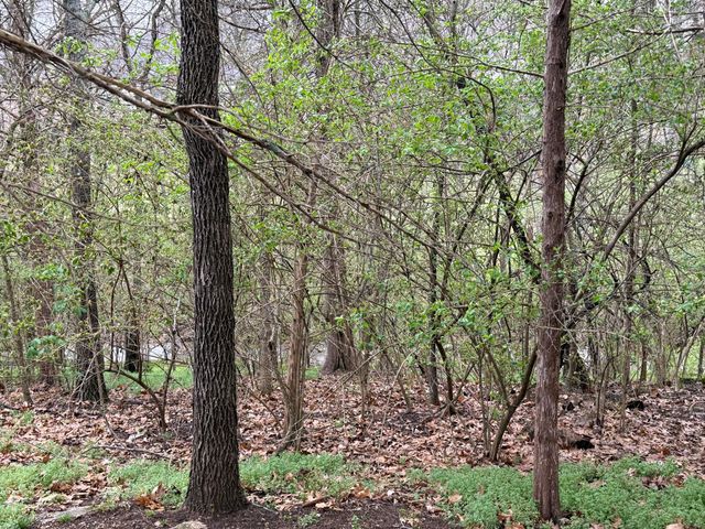 5341 S Woodfield Avenue, Springfield, MO 65810