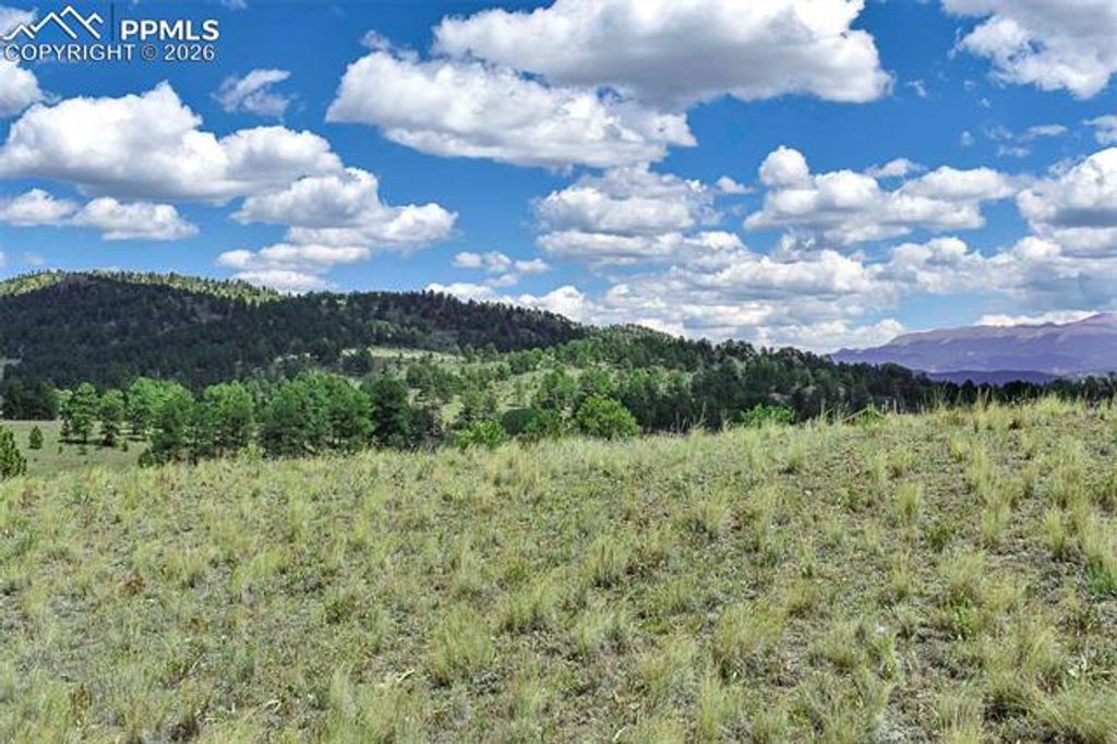 4680 County Road 71, Guffey, CO 80820 — photo 2