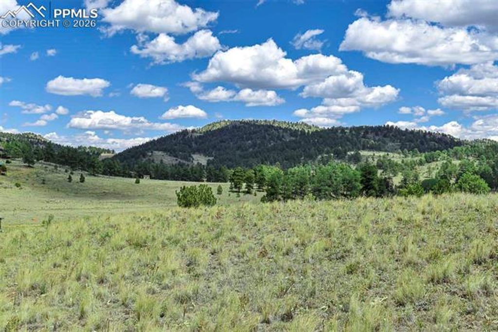 4680 County Road 71, Guffey, CO 80820 — photo 3